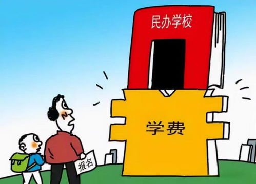 安徽多所民办本科高校征集计划800人以上,民办高校遭遇集体寒冬