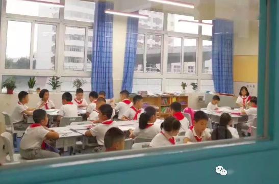 不鸡血 十二年一贯制,升学照样上牛校 这所老牌民办学校竟然有野生鸟类观测园