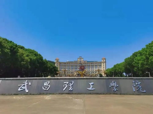 湖北民办高校学费上涨,家长直呼上不起,为何学校依然招生不愁?