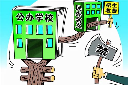 民转公浪潮下的私立学校 招生盈利之路被断,民办高校教师何去何从?